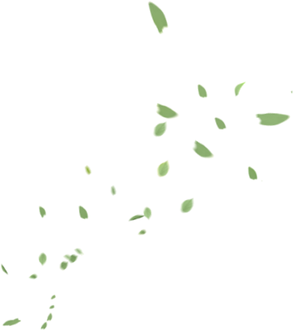 leaf